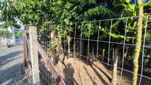 sitio_ribeiro_das_pedras_15.jpeg